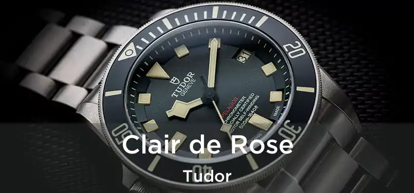  Clair de Rose Tudor