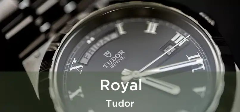  Royal Tudor